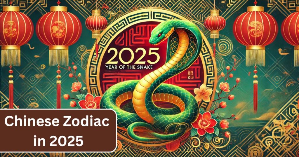 2025 Chinese Zodiac